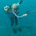Joyce started diving at 65. She now has 750+ logged dives and does this shark feed dive 3 days/week - 2 months a year and has for YEARS!