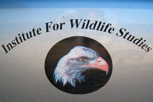 Institute for Wildlife Studies