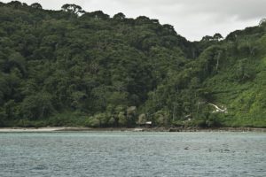 Coco Island LAND-104