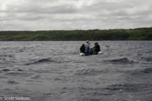 Dive Niue